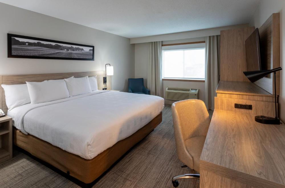 King Room - Disability Access interior